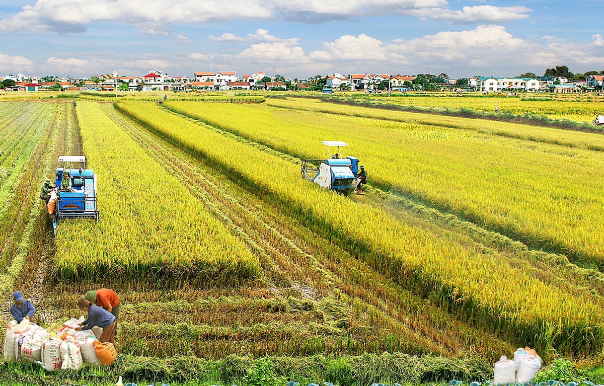 Mục tiêu đến năm 2030, thu nhập bình quân của người dân nông thôn phấn đấu tăng gấp 2,5 - 3 lần so với năm 2020.  