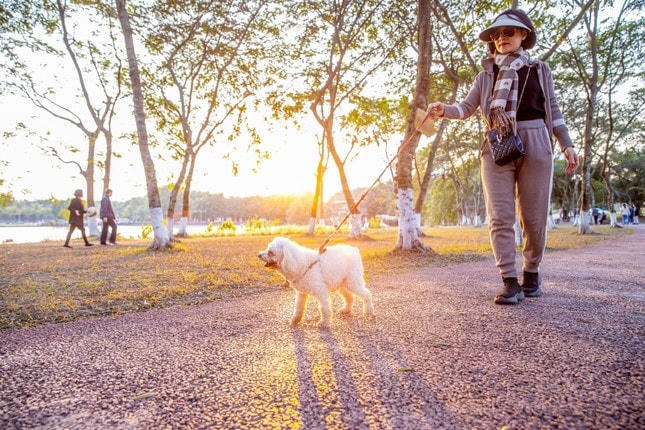 Ngồi nơi cửa nhà, nghĩ về hạnh phúc ảnh 6
