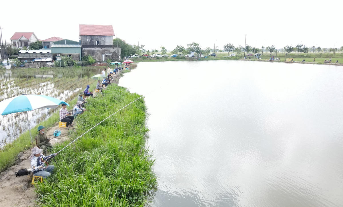 Theo kinh nghiệm, thời tiết đẹp nhất để câu cá lóc là những ngày sau cơn mưa dai dẵng, trời vừa hững nắng, nước dâng xâm xấp trên những cánh đồng, ao hồ, kênh rạch chính là thời điểm tốt nhất để đi câu. Cũng trong một ngày, câu vào buổi sáng sớm lúc tiết trời còn lạnh thì cá thường ít ăn, chỉ đến trưa lúc trời vừa hững nắng, thời tiết ấm lên mới là lúc cá ăn rộ.