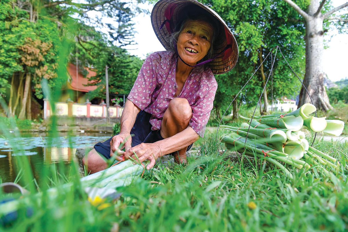 Làng còn mang đậm truyền thống văn hóa Bắc Bộ.