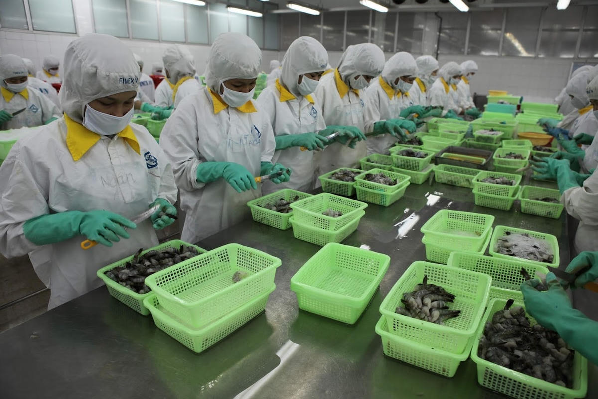 Thủy sản là mặt hàng cán đích sớm hơn so với dự kiến. Ảnh: Quang Vinh