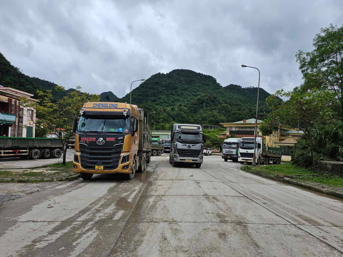 Cục trưởng Cục Hải quan Nghệ An bị kỷ luật vì đã thiếu trách nhiệm trong công tác kiểm tra, giám sát.