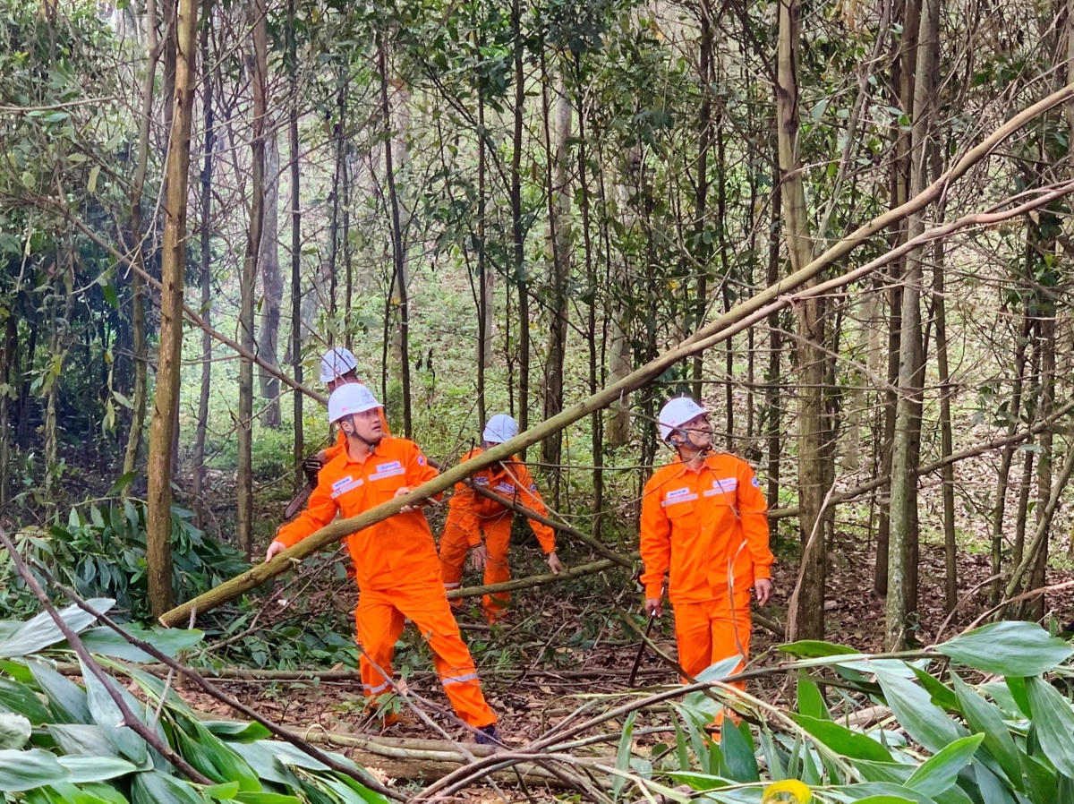 Công nhân Công ty Điện lực Thanh Hóa chặt tỉa cây giải phóng hành lang, đảm bảo an toàn lưới điện.