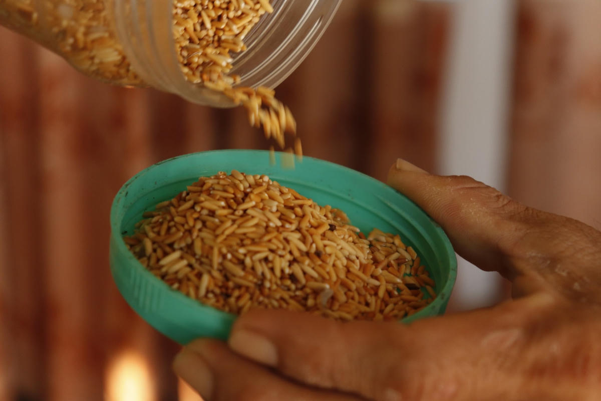 Hiện tại anh Giang có thể tạo ra 24 màu khác nhau từ gạo.