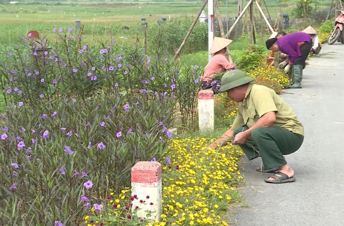 Người dân xã Hoàng Đan, huyện Tam Dương tham gia trồng hoa trên các tuyến đường giao thông.