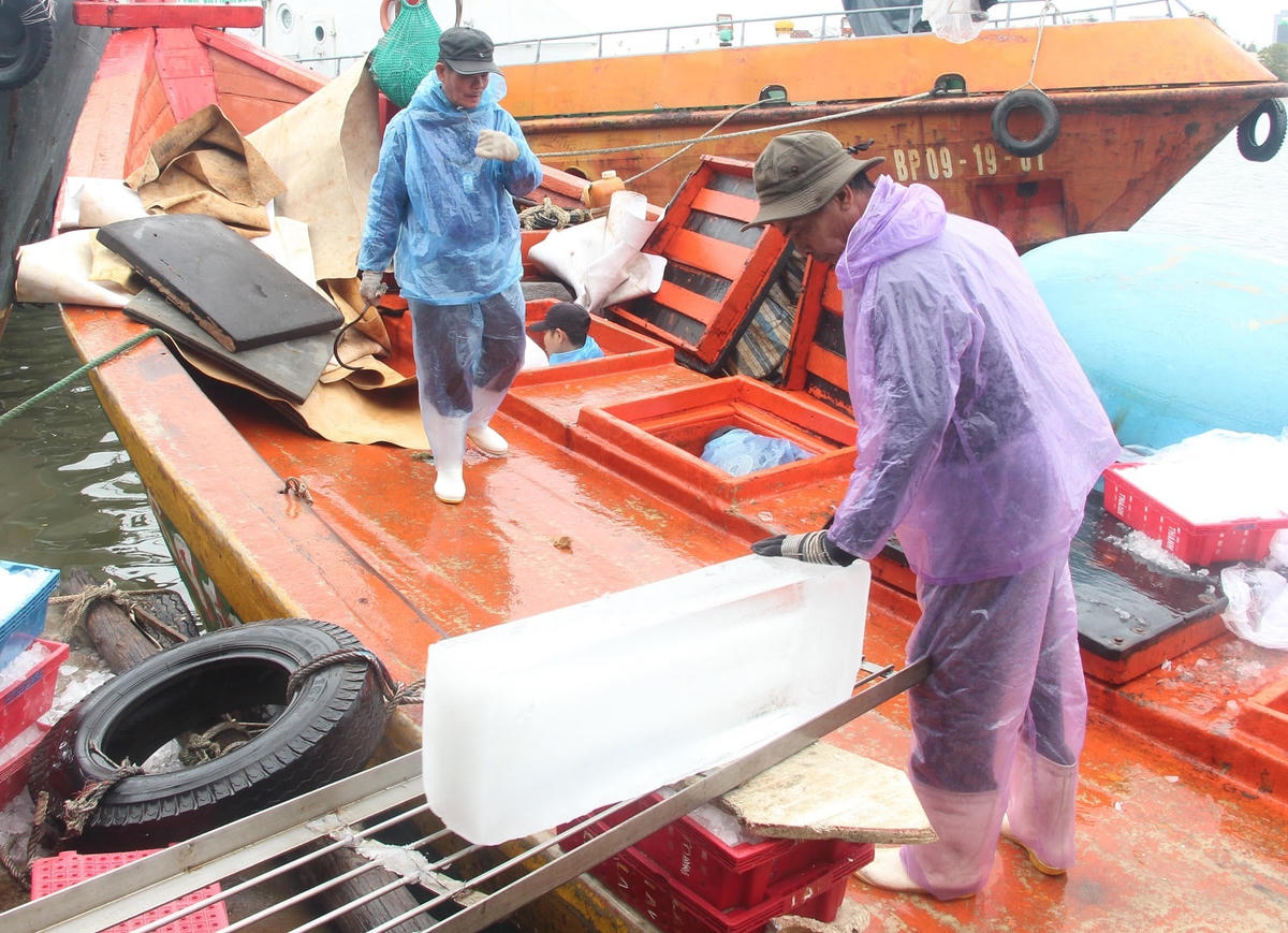 Ngư dân đang đưa đá lạnh xuống tàu cá để vươn khơi.