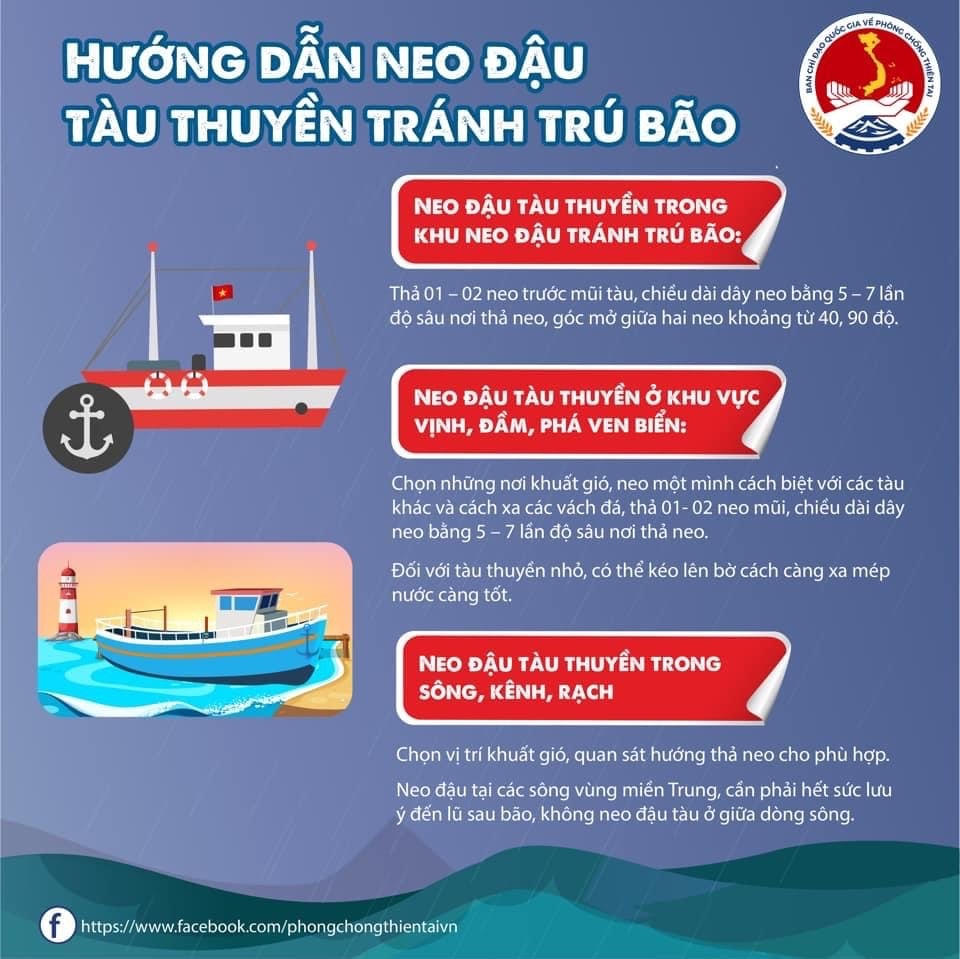 [Infographics] Phải làm gì khi bão xảy ra?