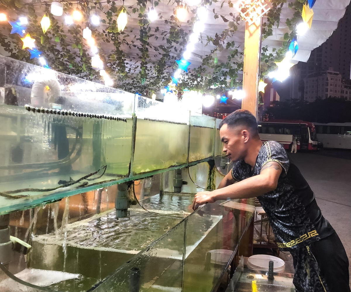 Anh Đức Phương, nhân viên phục vụ tại một nhà hàng nằm trên đường Hạ Long buồn rầu chia sẻ: “Hiện nay nhà hàng chỉ còn mình tôi phục vụ. Vào đợt cao điểm, những bể nước này đầy ắp đủ mọi hải sản nhưng bây giờ chỉ thả số ít tôm, bề bề. Có những ngày dọn ra rồi lại dọn vào vì không có khách”.