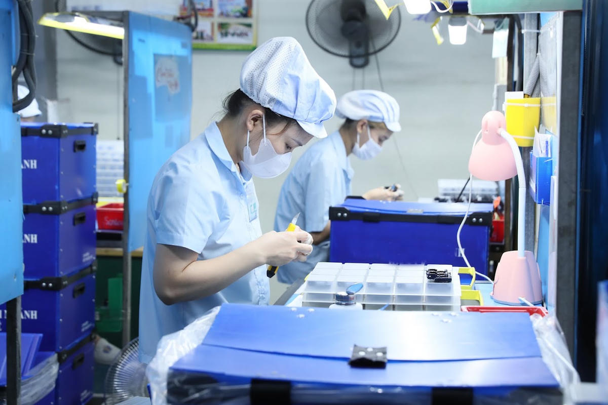 Doanh nghiệp mong muốn có nhiều hơn nữa sự quan tâm về cơ chế chính sách tín dụng, hạ tầng đất đai sản xuất, công nghệ mới… Ảnh: Quang Vinh.
