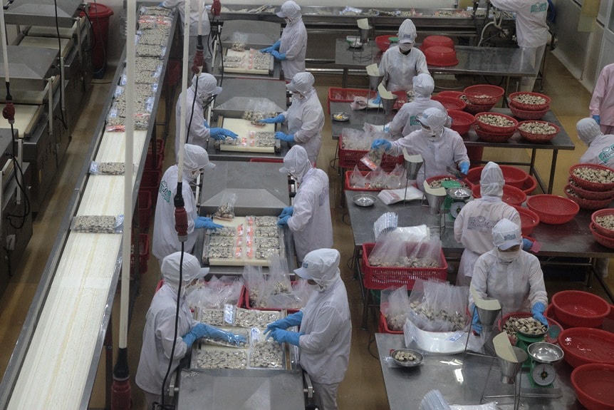 Hỗ trợ lĩnh vực lâm, thủy sản vượt khó