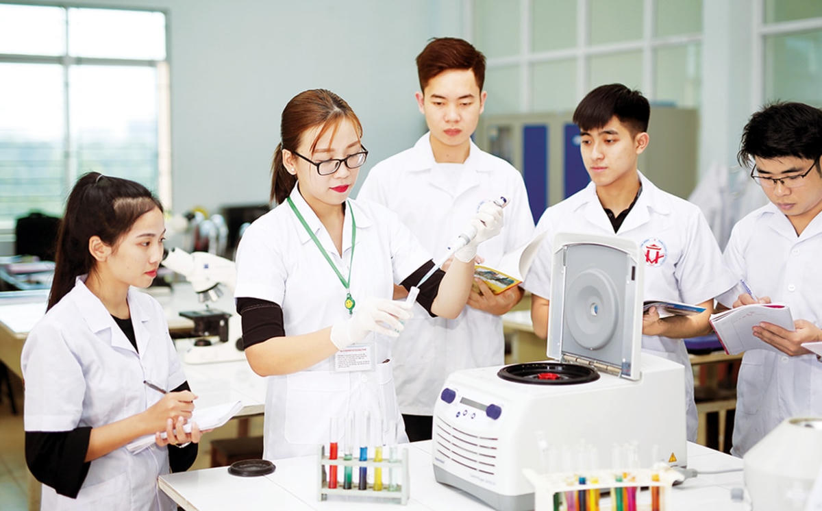 Sinh viên nghiên cứu khoa học. Ảnh: TL.