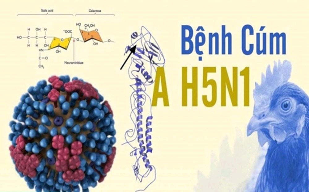 Cúm A H5N1