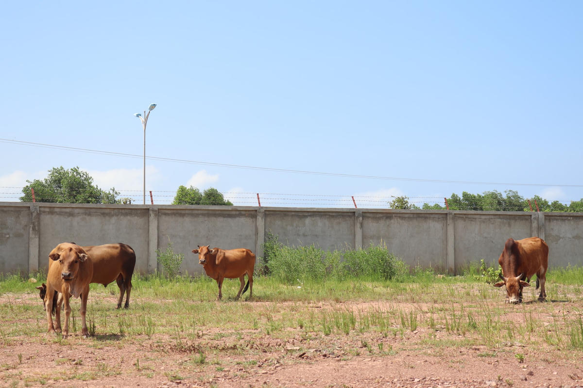 Khuôn viên dự án rộng hàng chục ha vẫn còn hoang sơ