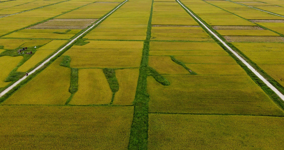 dji_0350.jpg