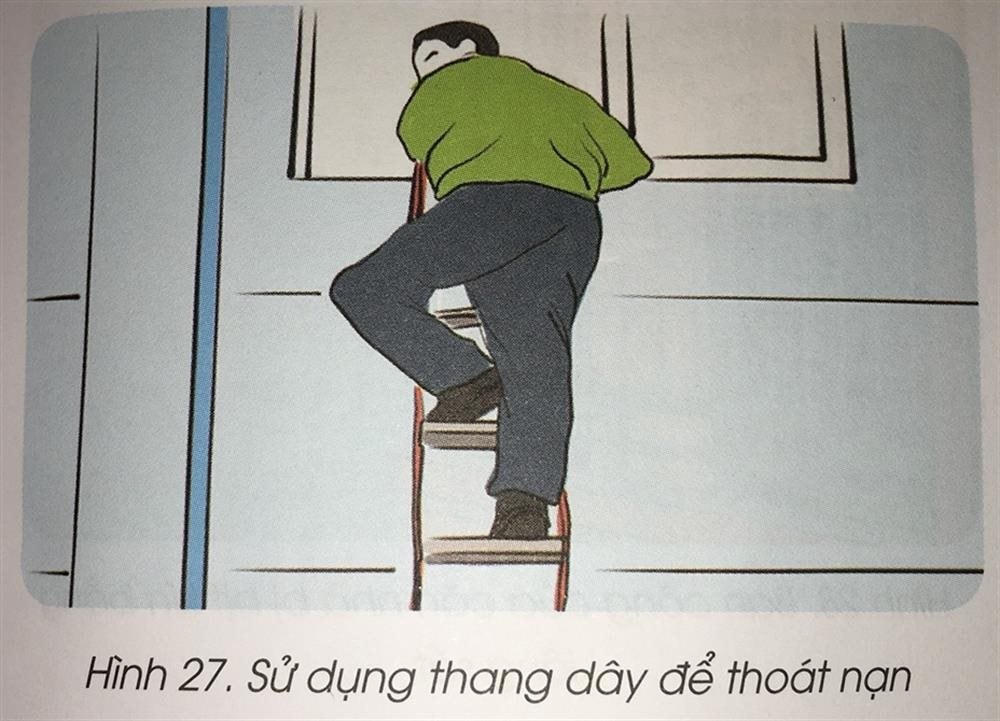 343_1.jpg