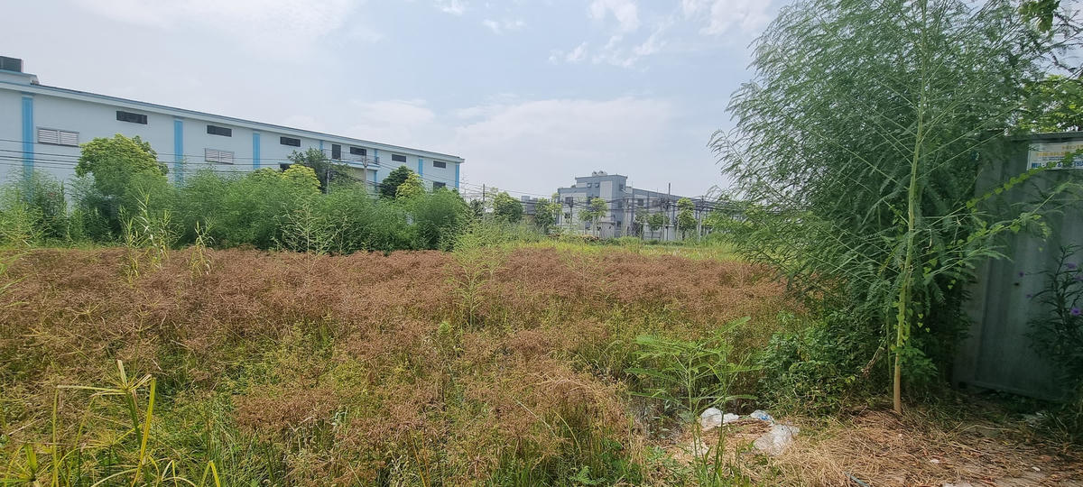 Nhiều lô đất trong Cụm công nghiệp Làng nghề Dương Liễu bị bỏ không