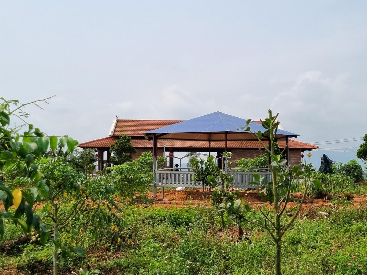 Một cây đã được trồng trong trang trại.