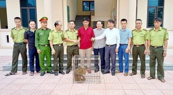 Anh Bùi Văn Hướng bàn giao cá thể khỉ vàng quý hiếm cho Hạt Kiểm lâm huyện Lộc Hà.