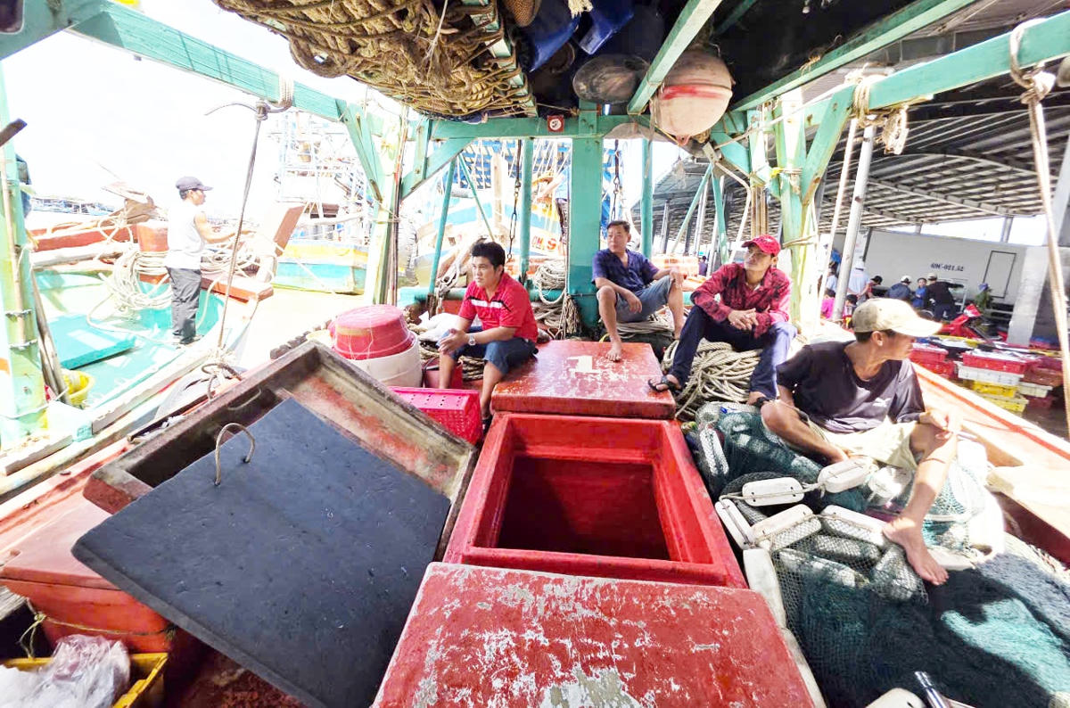 ảnh 6 Việc ra khơi đánh bắt cá biển hiện nay tăng chi phí, khó tìm bạn tàu nhưng sản lượng cá ít là một trong nhiều nguyên nhân khiến tàu biển ở Cà Mau nằm