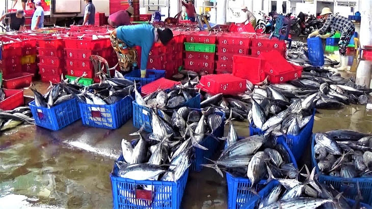 Ngư dân đánh bắt xa bờ cập cảng Hòn Rớ TP. Nha Trang, trong những ngày đầu năm mới.