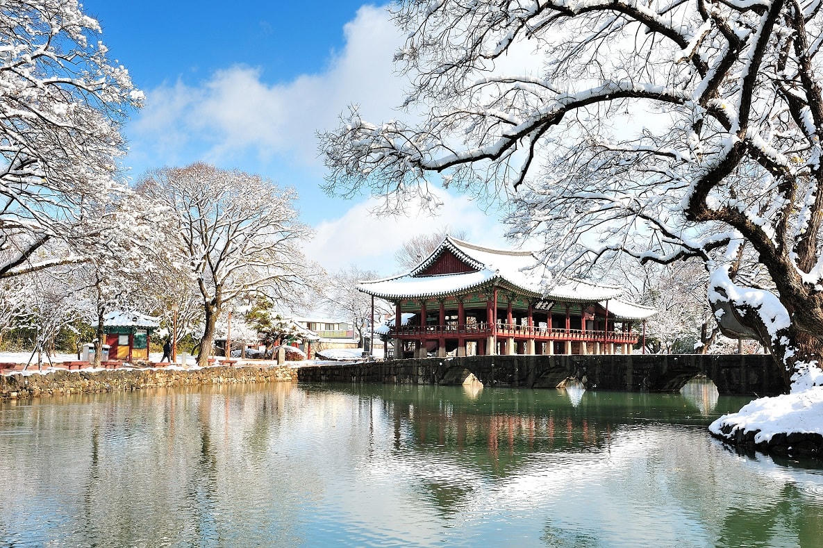 Đón Giáng Sinh tại Seoul với đường bay thẳng Vietjet từ Đà Lạt và Cần Thơ