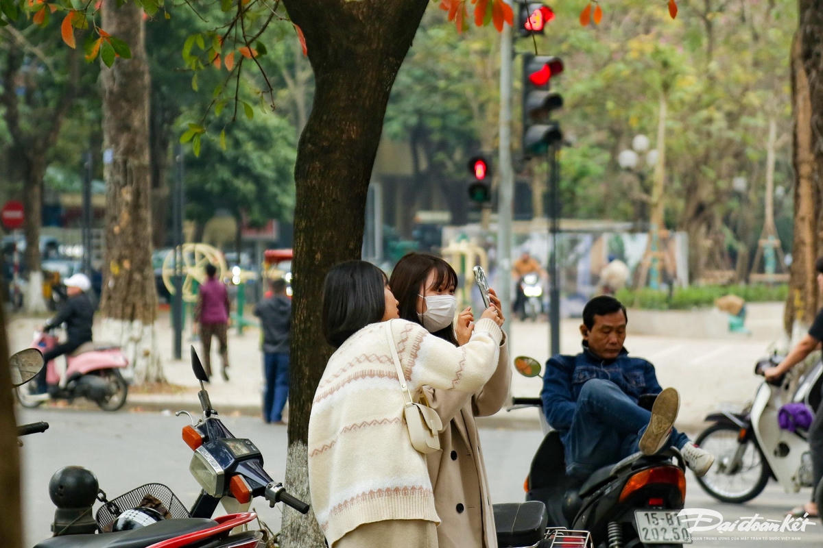 W_ha_noi_mua_la_do-le-khanh6.jpg
