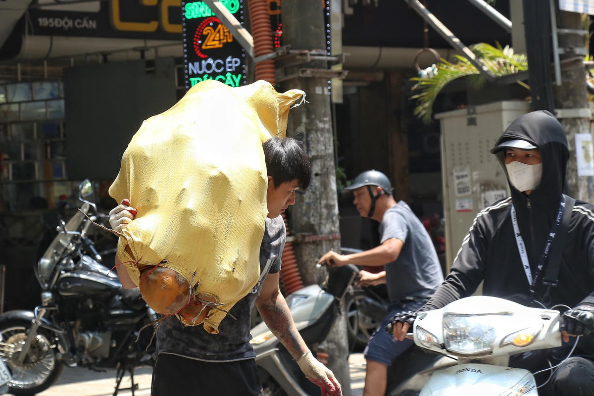 Hình ảnh người đàn ông đang vác bì dừa nặng hàng chục kg giữa trời nắng nóng.