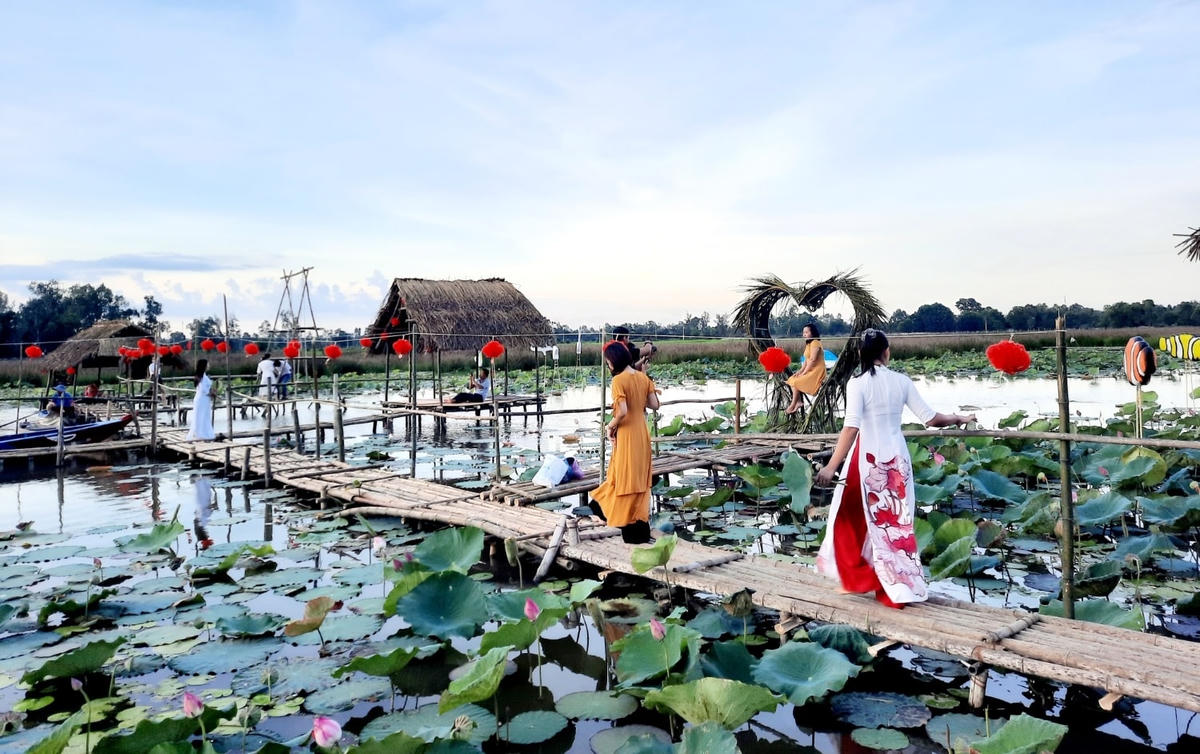 Một điểm checkin tại Bãi Sậy sông Đầm, TP Tam Kỳ.