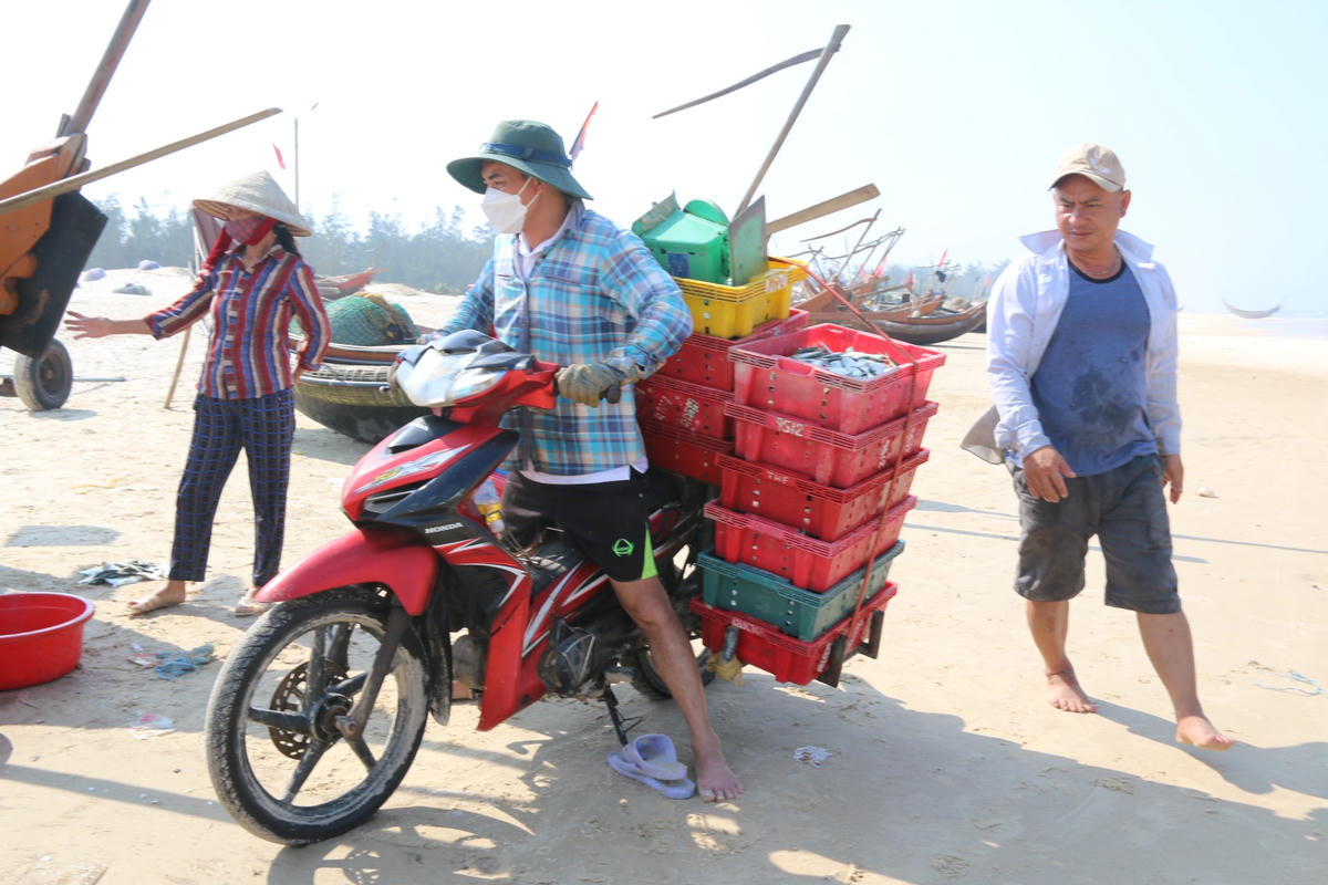 Không khí hối hả, tấp nập tại bờ biển thuộc xã Hải Khê.