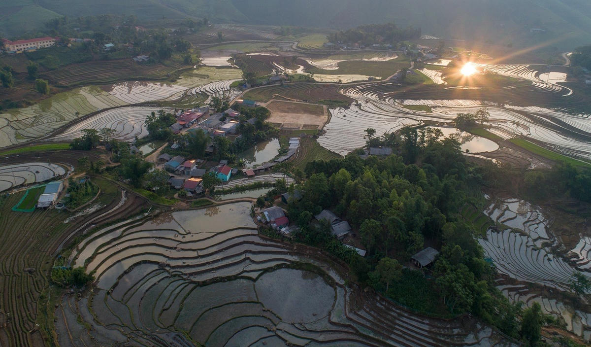 Ánh nắng hồng chiếu rọi cánh đồng với mong muốn một năm được mùa, ấm no. Ảnh Phạm Bằng