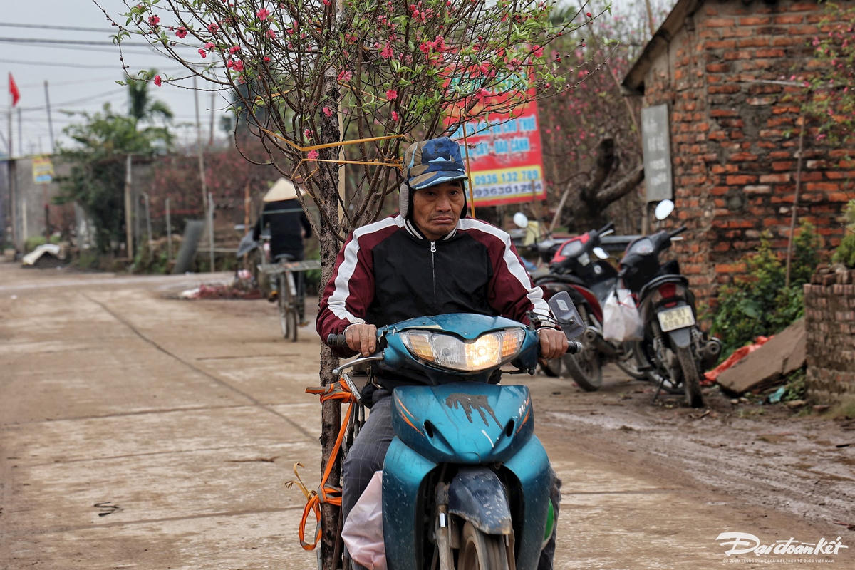W_dao_nhat_tan-le-khanh5.jpg