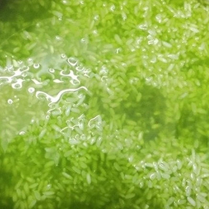 Chuẩn bị.