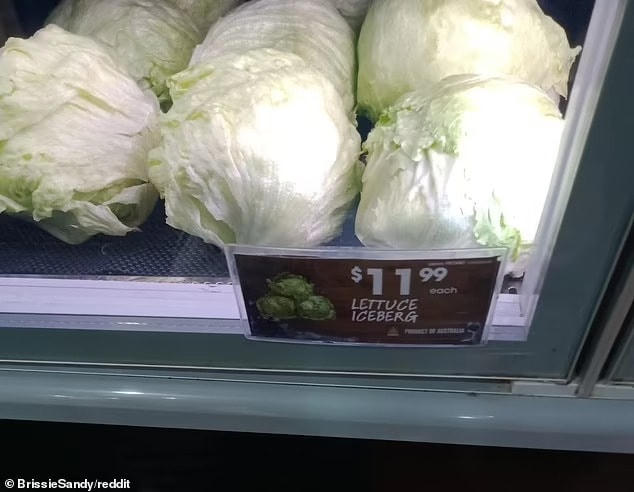 Bức ảnh chụp từ kệ bày rau củ quả trong siêu thị, cho thấy giá của một cây xà lách Iceberg lên tới 11.99 AUD Australia (tương đương 199.000 VNĐ)