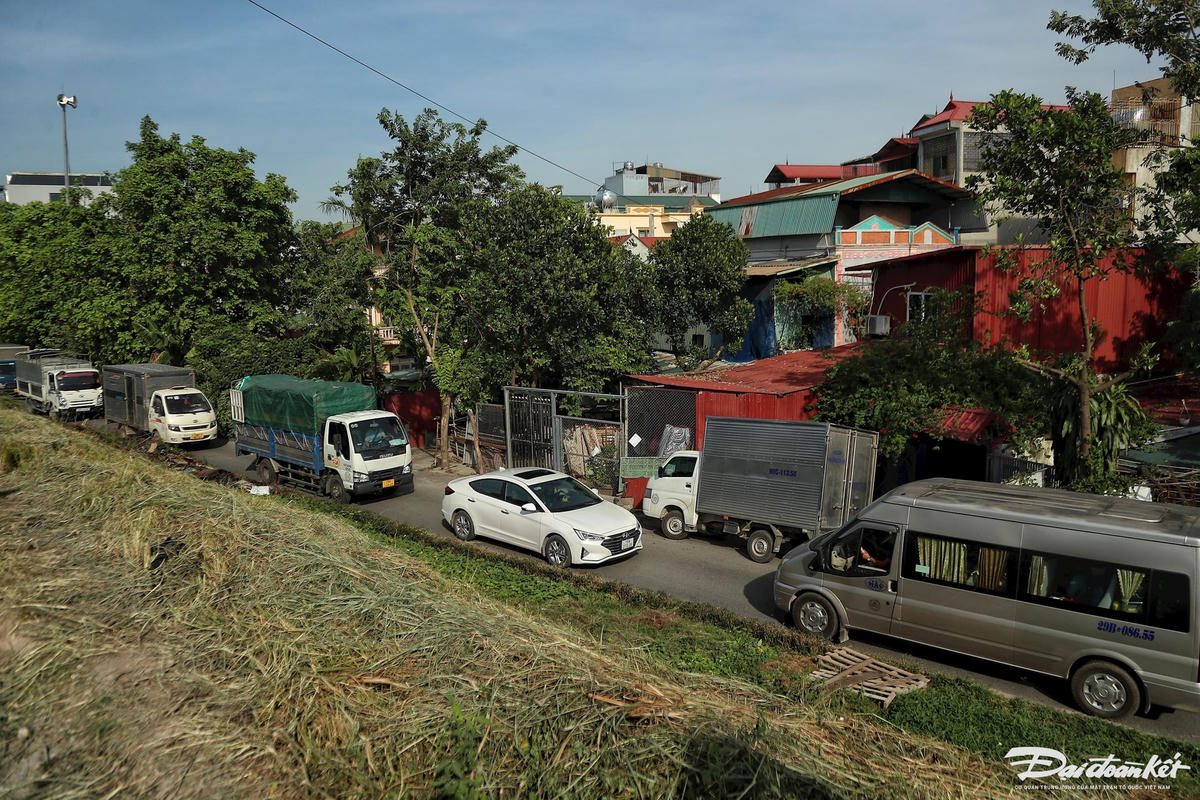 sut_lun_de_yen_nghia-le-khanh17.jpg