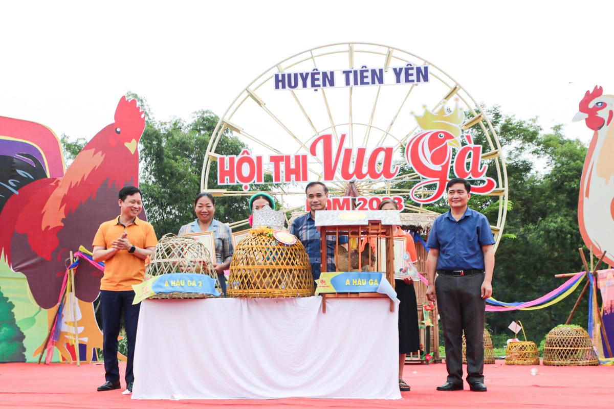 Các ngôi vị Á hậu gà 1, 2 và Hoa hậu gà Tiên Yên 2023 đã tìm ra được chủ nhân. Chú gà mái đến từ xã Đại Dực đã xuất sắc trở thành Hoa hậu gà năm nay.