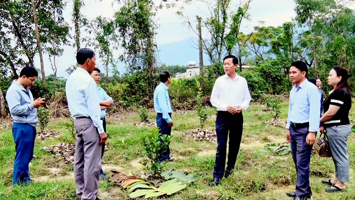 Đoàn khảo sát của Ủy ban MTTQ thị xã Kỳ Anh kiểm tra mô hình sinh kế của bà Lê Thị Hồng ở Tổ dân phố  Trường Sơn, phường Kỳ Thịnh.