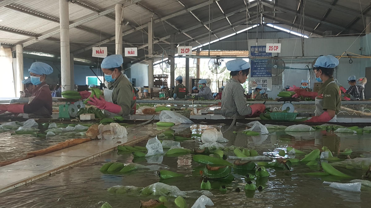 Hầu hết doanh nghiệp đều đang ngóng chờ nguồn vốn hỗ trợ để khôi phục sản xuất.