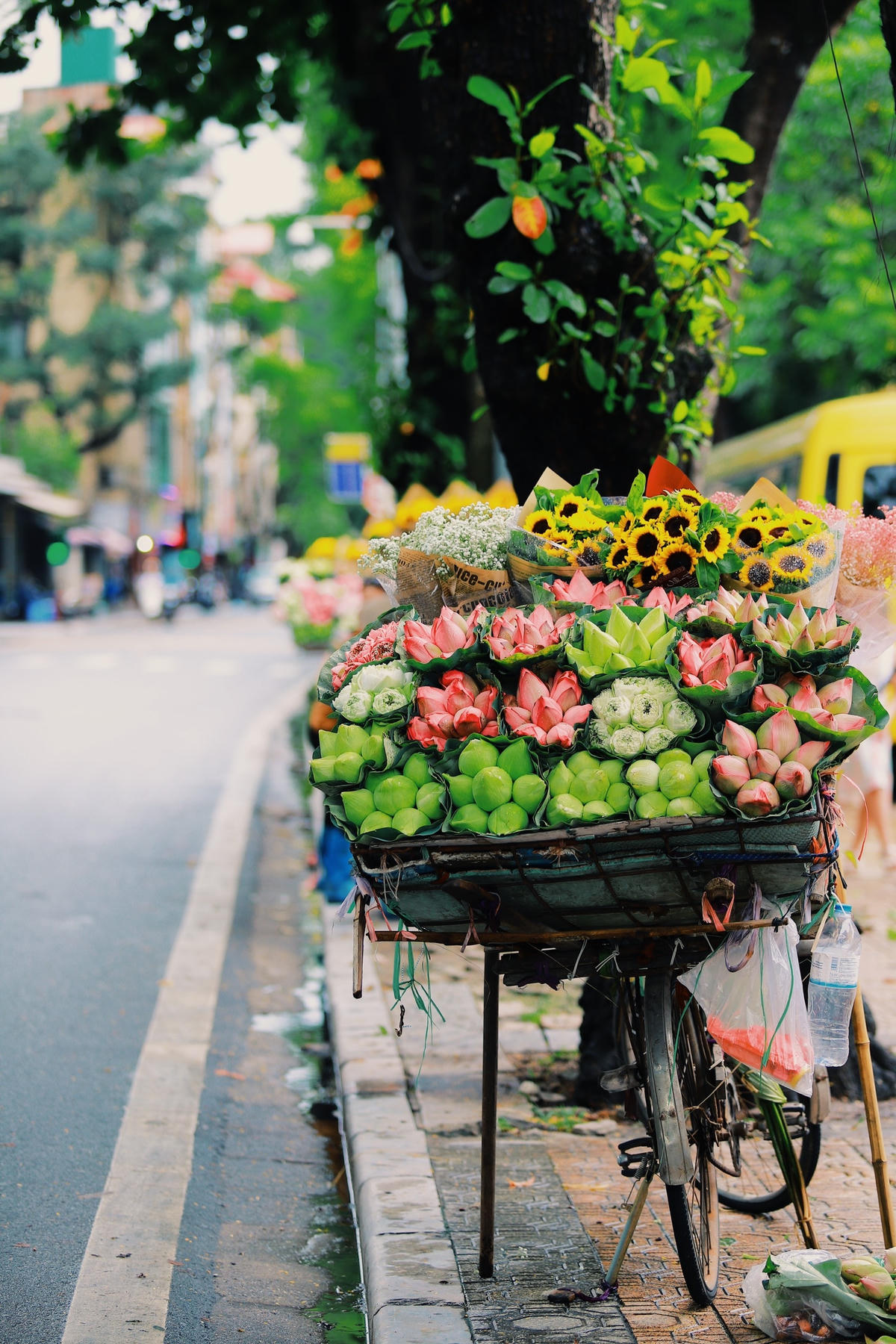Đường Thanh Niên vào những ngày này với những gánh hoa rong dựng trải dài hàng chục mét bên lề đường. Nơi đây đang trở thành địa điểm thu hút nhiều bạn trẻ đến chụp ảnh check-in. Ảnh: Hoàng Đỗ.