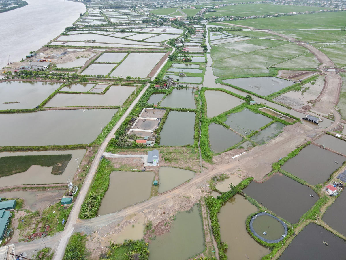 Phần đường dẫn lên cầu tại xã Cồn Thoi đã được giải phóng mặt bằng, chờ thi công.