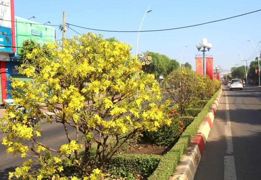 anh1-baiduoi.jpg