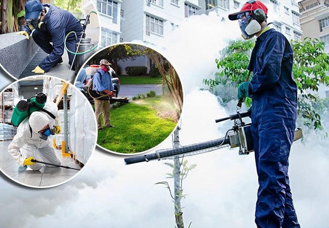 Tăng cường công tác phun thuốc diệt muỗi phòng, chống sốt xuất huyết.