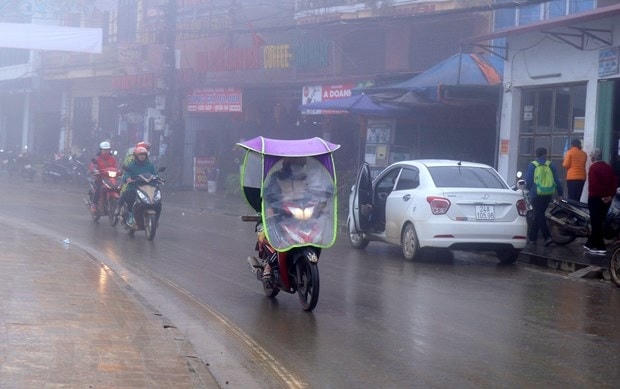 Ảnh minh họa: TTXVN.