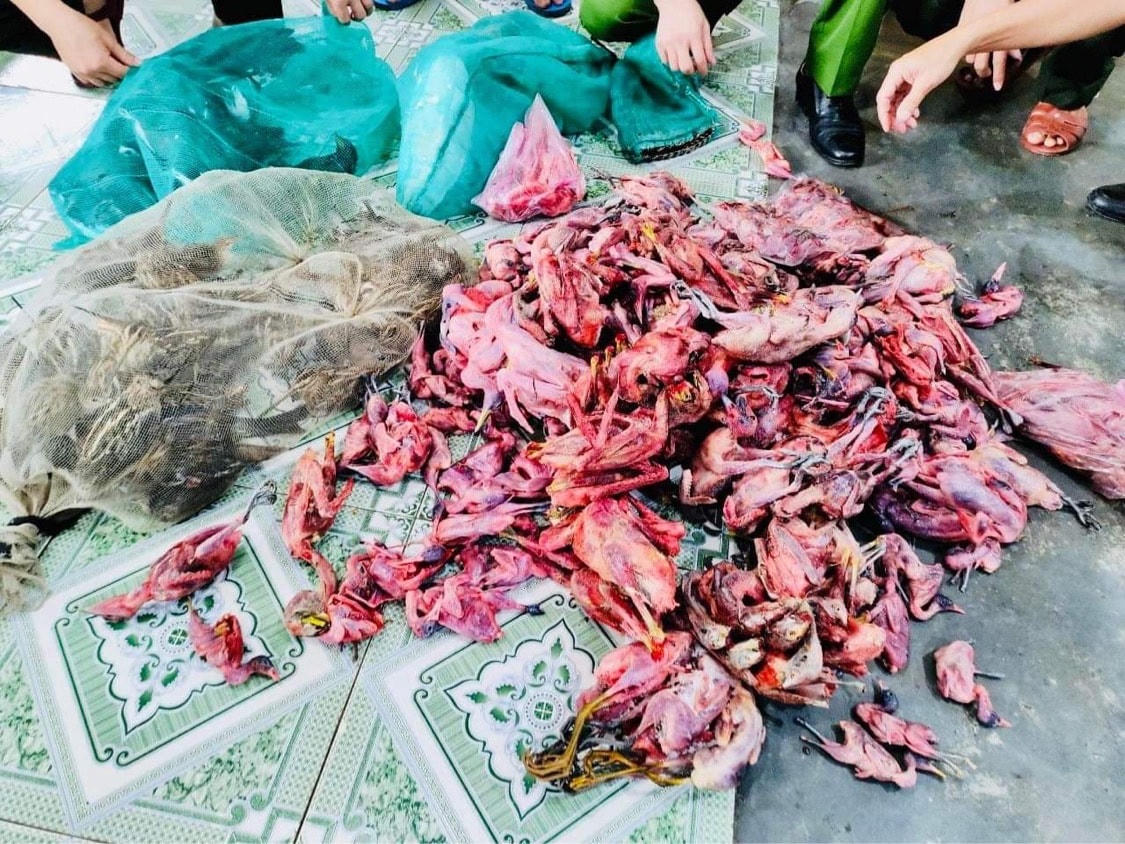 Toàn bộ số chim bị giết đã bị lực lượng chức năng tiêu huỷ. 