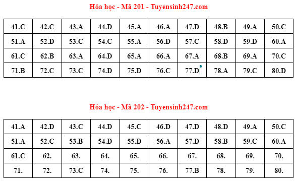 Gợi ý lời giải đề thi tốt nghiệp THPT 2023 bài tổ hợp Khoa học Tự nhiên