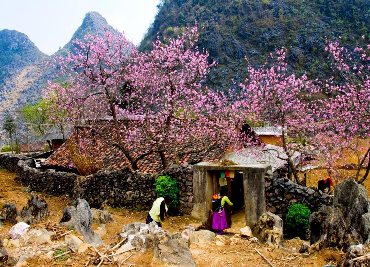 Vẻ đẹp đặc biệt của bản làng Cao nguyên đá Đồng Văn.