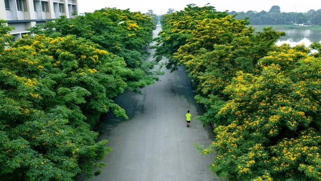 Ngồi nơi cửa nhà, nghĩ về hạnh phúc ảnh 1