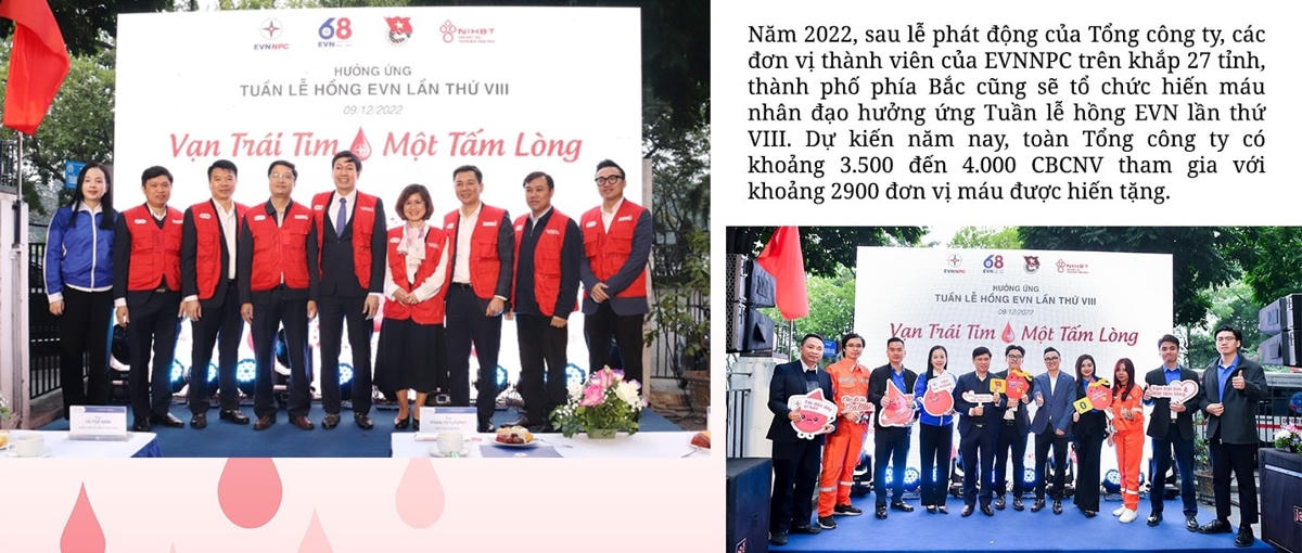Đông đảo CBCNV EVNNPC hiến máu nhân đạo hưởng ứng Tuần lễ hồng EVN lần thứ VIII
