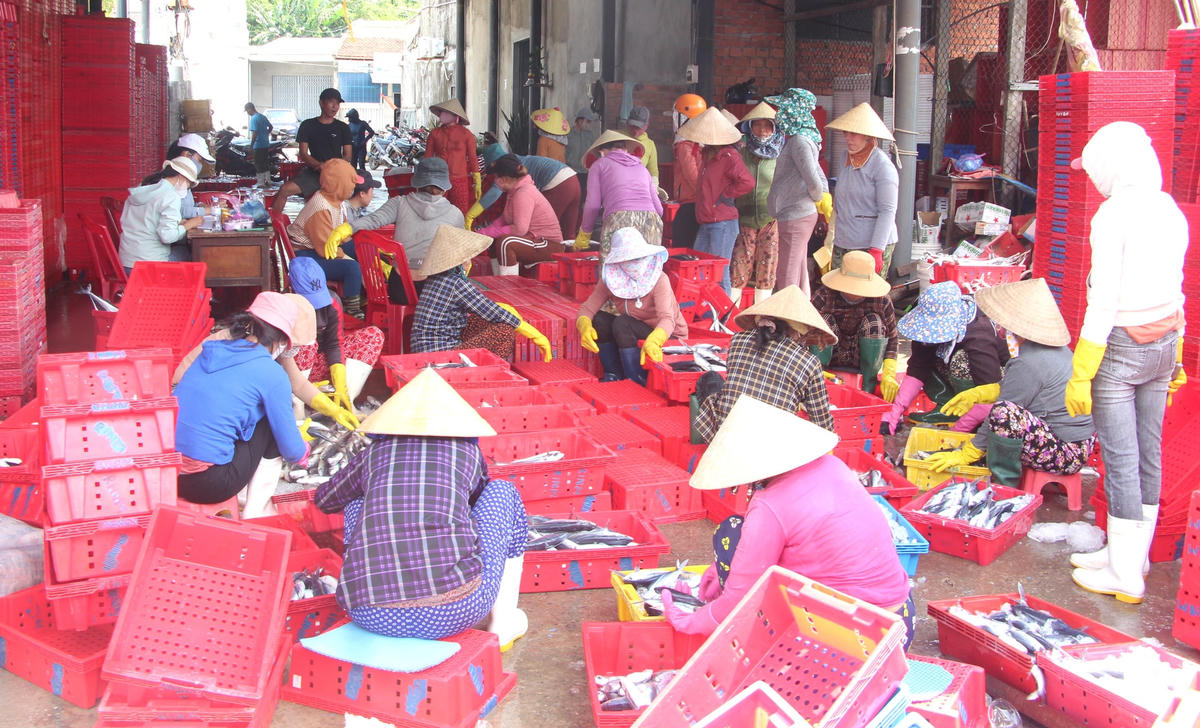 Một góc cảng cá Sa Kỳ.