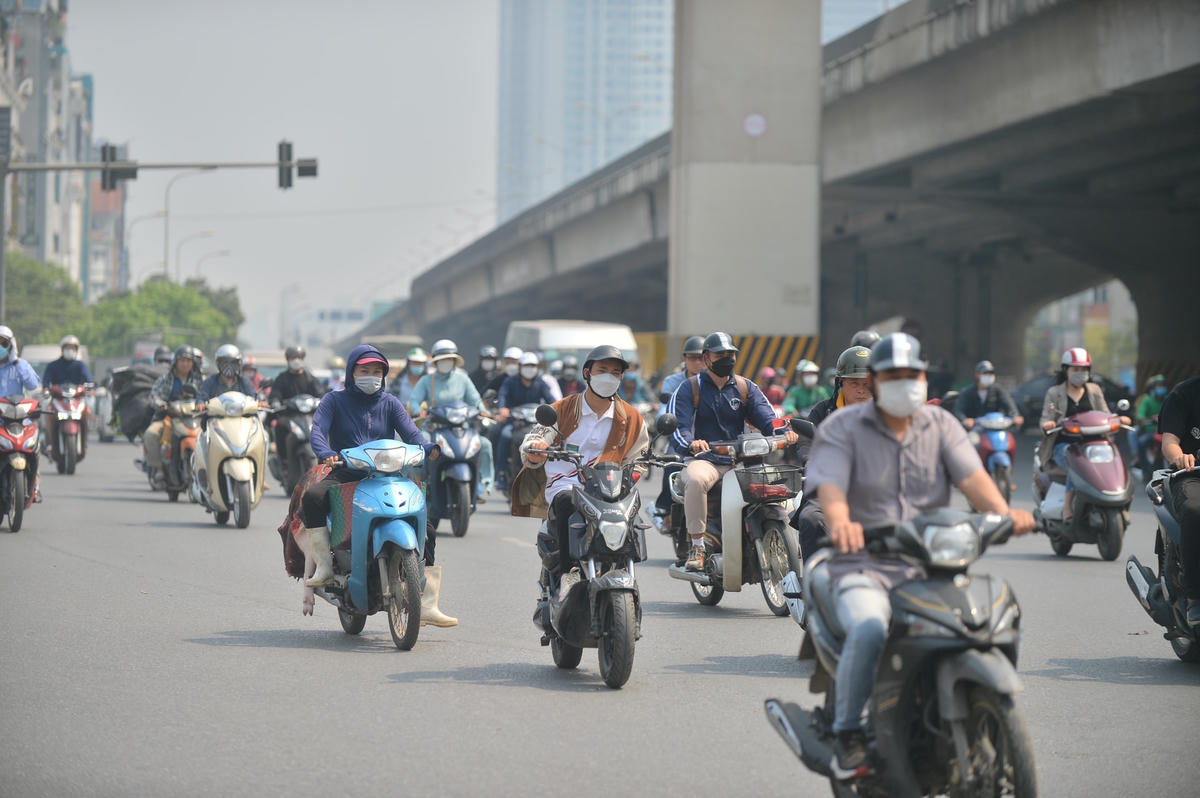"Với các tỉnh Bắc Bộ, Trung Bộ, nắng nóng đến sớm so với trung bình nhiều năm. Nguyên nhân là do tác động của vùng thấp phía Tây cộng thêm tác động của hiệu ứng gió phơn", ông Hưởng phân tích. 