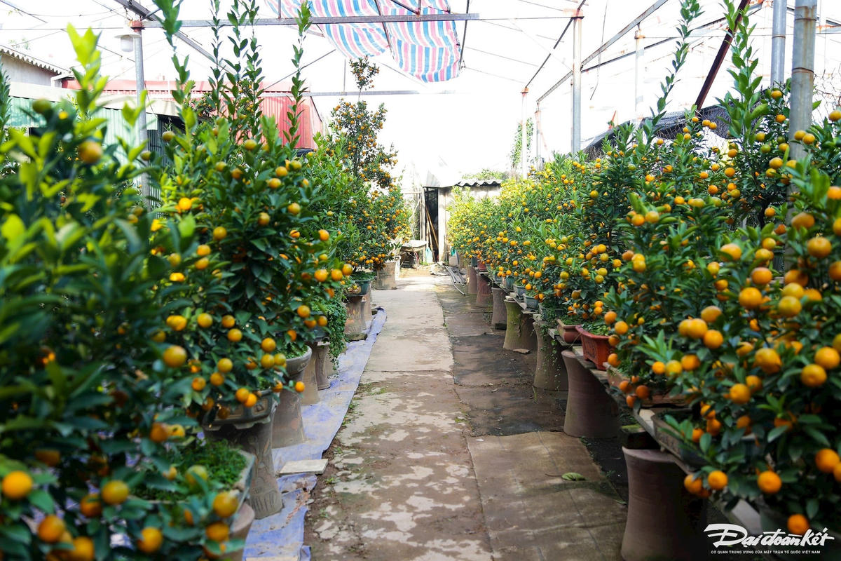W_quat_mi_ni-le-khanh13.jpg